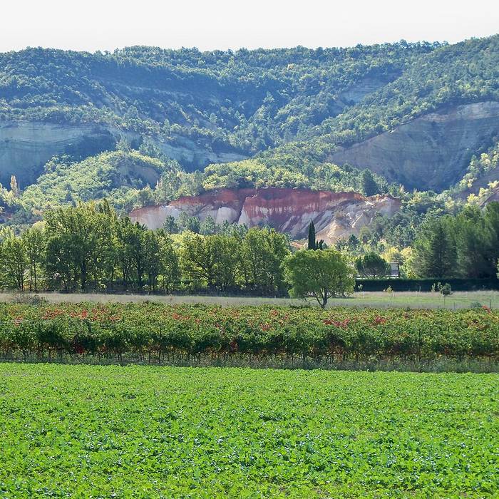 Photo de Chapelle Notre-Dame-des-Anges de Rustrel